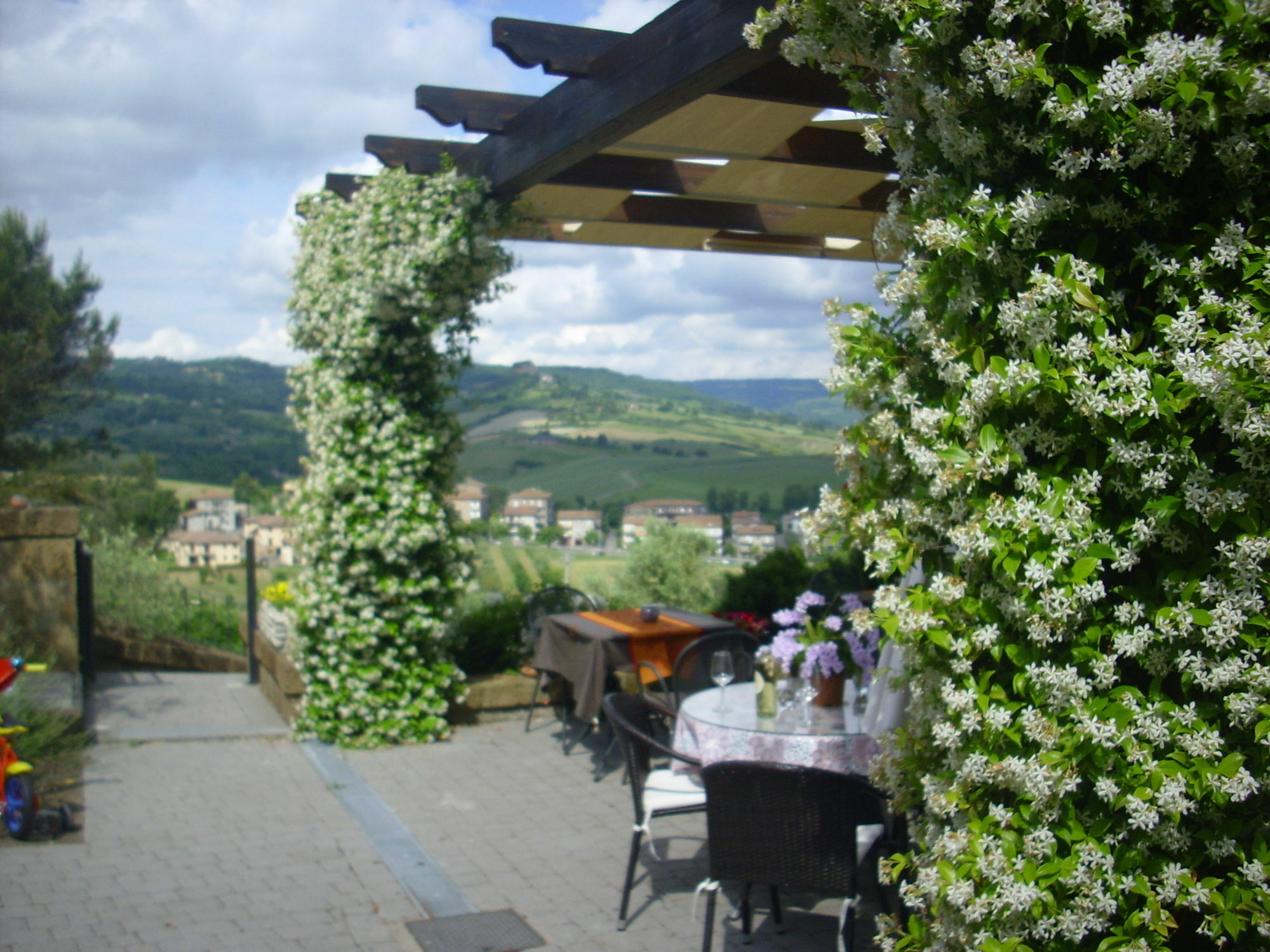 Chiara E Benedetta Villa Degli Ulivi Orvieto Luaran gambar